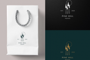 Разработка логотипа для компании