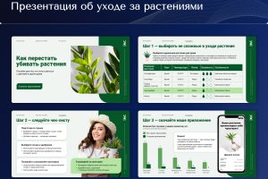 Презентация об уходе за растениями