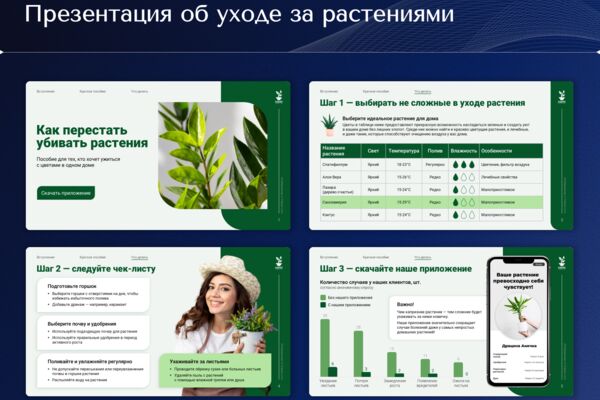 Портфолио 4х3 [Slide 9].png