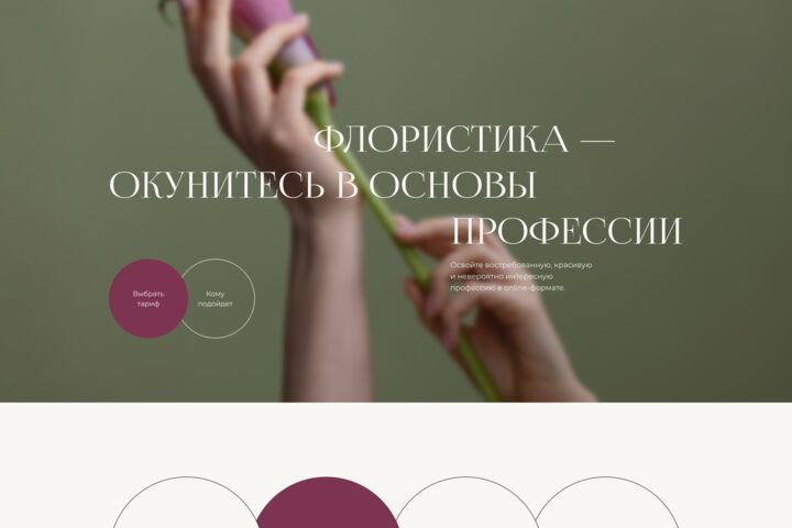 Разработка лендинга