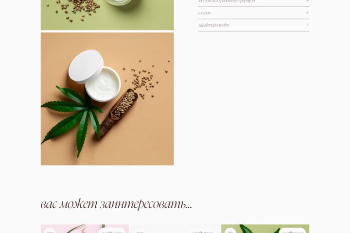 Разработка интернет-магазина
