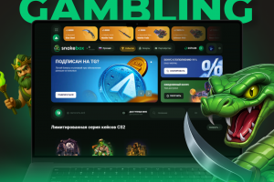 SNAKEBOX - CS2 & Dota 2 & RUST opencase project