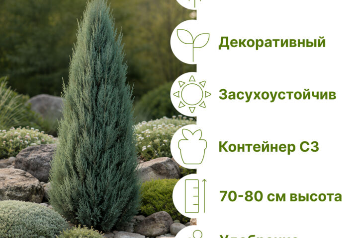Разработка карточек товаров для маркетплейсов