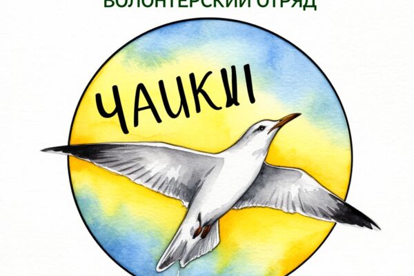 Продвижение экологического проекта: от идеи до победы и гранта на реализацию