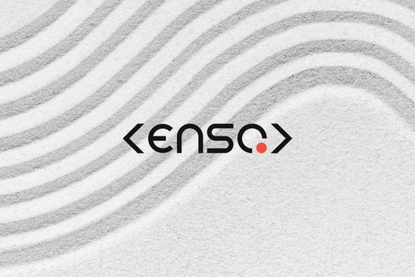 Брендинг Enso | международная software компания