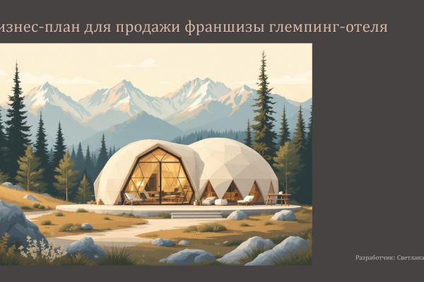 Бизнес-план для продажи франшизы глемпинг-отеля