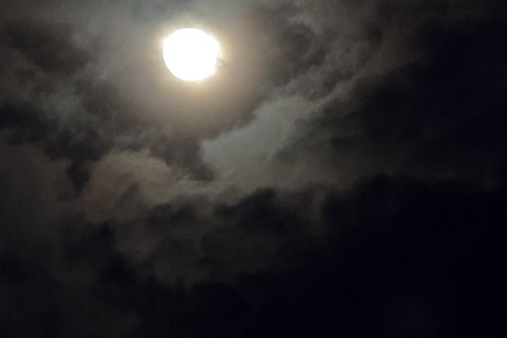 Сделаю любой текст под вас и перевод