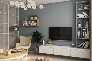 гостиная со спальней