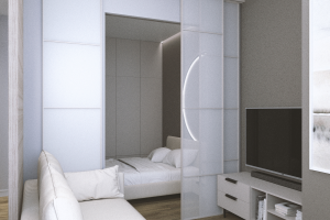 кухня гостиная со спальней