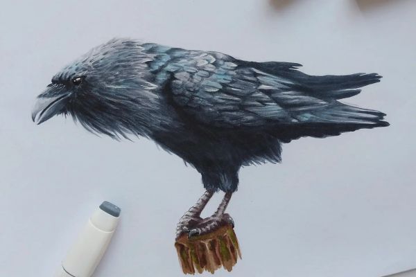 Иллюстрация