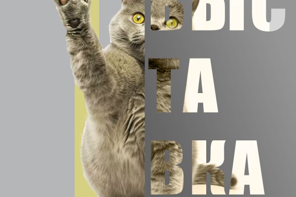 Банер для выставки