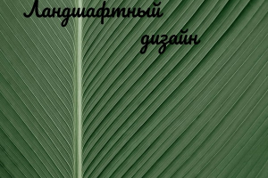 Ландшафтный дизайн