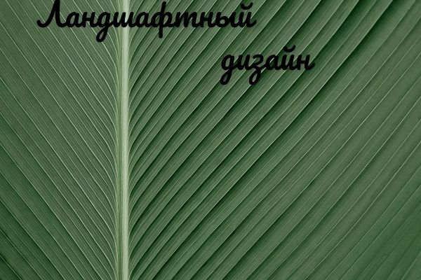 Ландшафтный дизайн