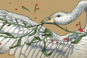 Серия авторских иллюстраций с гусями для принтов на текстиле