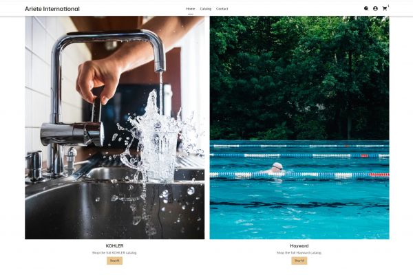 Ariete International: брендинг, multi-brand Shopify и настройка рекламы в США