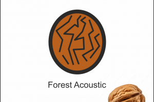 логотип Forest Acoustic