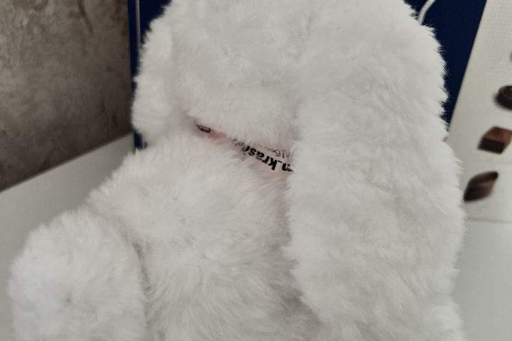 Свяжу для вас Зайку или любого другого зверька по вашему фото! - 5668429