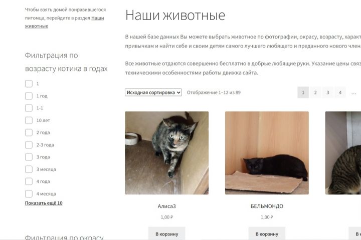 Интернет-магазин на Wordpress/Woocommerce - 5669527