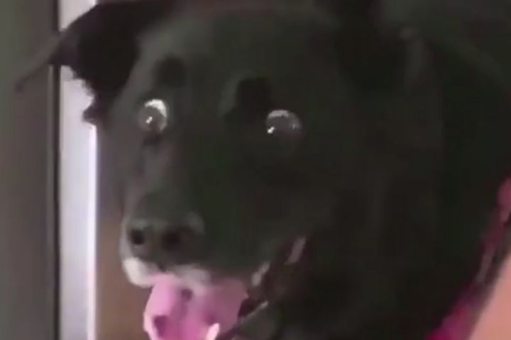 Сборка ПК/Консультирование по комплектующим