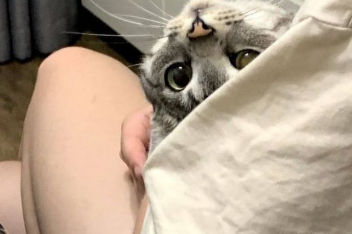 Редактор текстов