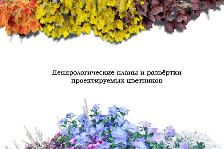 Проект озеленения (дендропроект) - 5670223