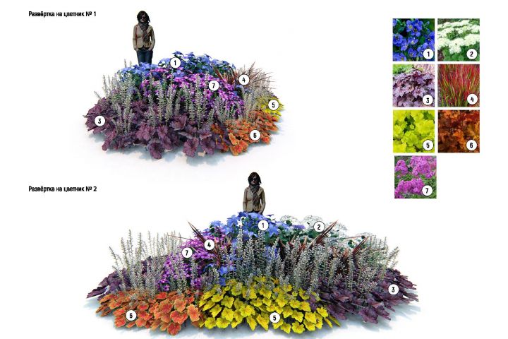 Проект озеленения (дендропроект) - 5670224