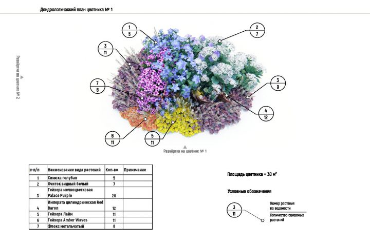 Проект озеленения (дендропроект)