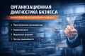 Организационная диагностика бизнеса