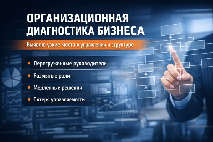 Организационная диагностика бизнеса