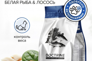 Инфографика корм для кошек