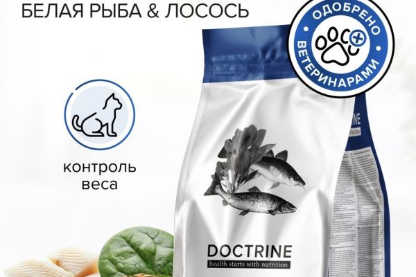 Инфографика корм для кошек