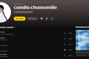 Музыкант, гострайтер, битмейкер, поэтесса