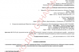 Иск о признании товаров легально введёнными в оборот и взыскании убытков с производителя