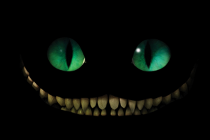 Фотосессия