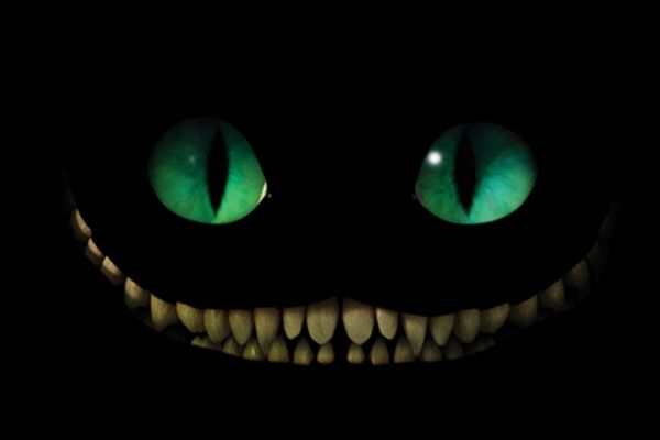 Фотосессия