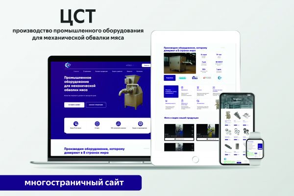 ЦСТ | Многостраничный сайт