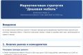 Провожу аудит компании плюс маркетинговая стратегия на год