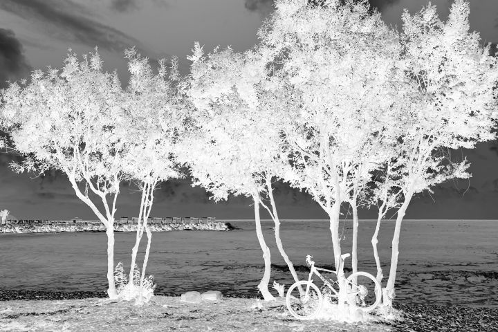 Репетитор по французскому