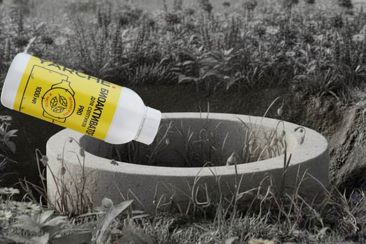 AI-видео / видео для маркетплейсов - 5673090