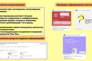 Оформление и ведение социальных сетей для сервиса по написанию студенческих работ на заказ