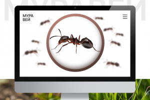 Дизайн лендинга, который не несет коммерческой выгоды