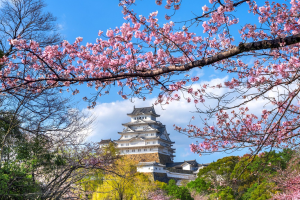 Визуальные новеллы (сценарии)