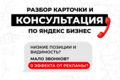 Консультация по рекламе Яндекс Бизнес, продвижению на Яндекс Картах
