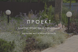 Ландшафтный проект В СОСНОВОМ ЛЕСУ