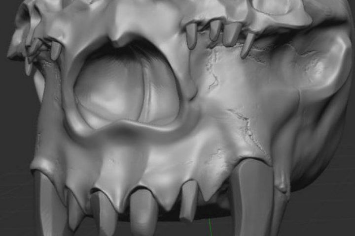 3D-скульптинг персонажей - 5677589