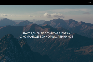 Лендинг сайта