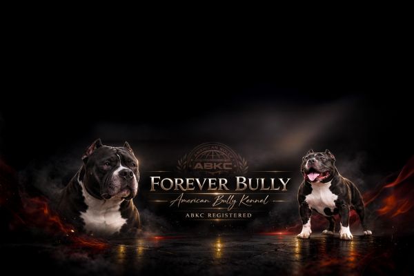 Обложки  для группы ВК