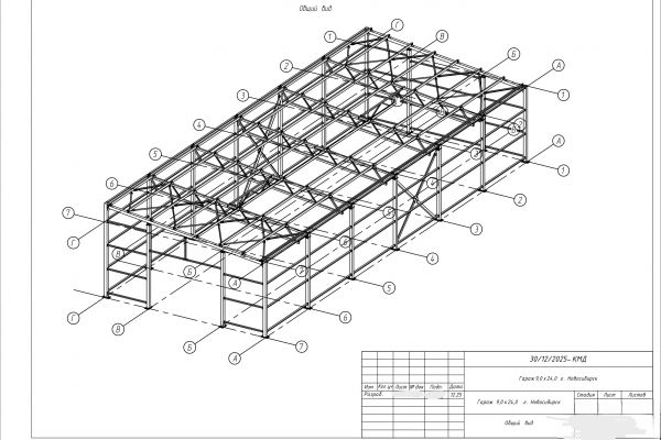 Гараж 9,0х24,0 г. Новосибирск