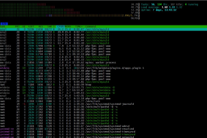 Перенос проекта vsporte24.ru с хостинга на VPS-сервер + полная настройка окружения