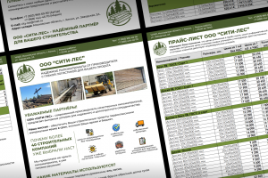 Коммерческое предложение / Визуальное оформление для бизнеса